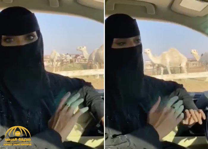 بعد ظهورها في مزاد الإبل ..بالفيديو: "رشا العبدالله" تكشف عن مهنتها الحقيقية وتتوعد بملاحقة المسيئين لها