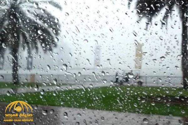 "الحصيني" يكشف تفاصيل حالة الطقس اليوم وليلة الجمعة: أمطار غزيرة وبرد على هذه المناطق