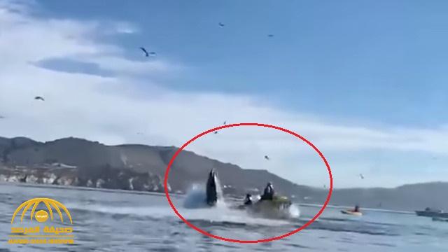 شاهد .. فيديو صادم لحوت ضخم يبتلع قارب