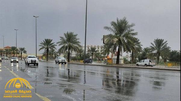 أمطار غزيرة وحبات برد.. "الحصيني" يكشف تفاصيل حالة الطقس خلال 24 ساعة قادمة بالمملكة!
