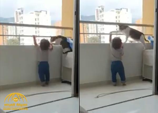 شاهد.. فيديو مثير لردة فعل "قطة” تجاه طفل حاول تسلق الشرفة!