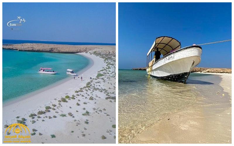 شاهد .. مراسلنا "أسامة المغامسي" يوثق الطبيعة البِكر في مالديف السعودية "جزر فرسان"