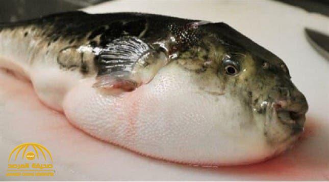 تفاصيل وفاة طفلة سورية بعد تناولها هذا النوع من السمك السام!