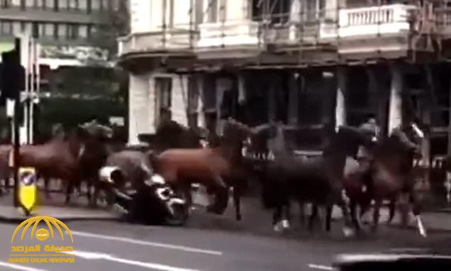شاهد : ردة فعل مفاجئة من حصان تجاه سائق دراجة نارية حاول تجاوز موكب خيول الشرطة البريطانية