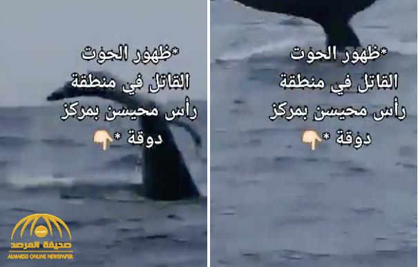 فيديو: ظهور حيتان قاتلة في بحر مركز دوقة بالقنفذة.. شاهد ردة فعل "صياد" على أحد مراكب الصيد!