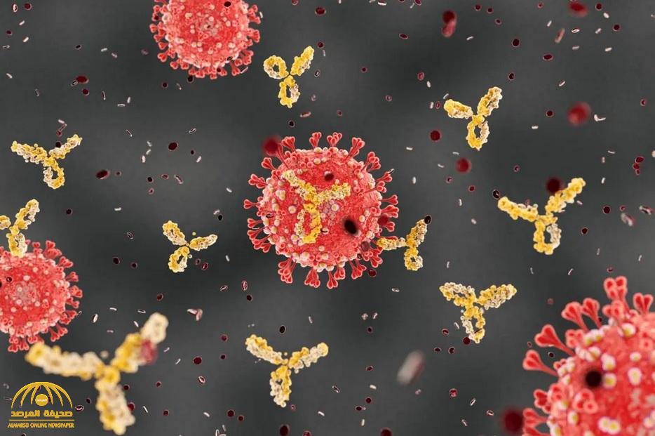 الكشف عن فترة احتفاظ الجسم بالأجسام المضادة لفيروس كورونا