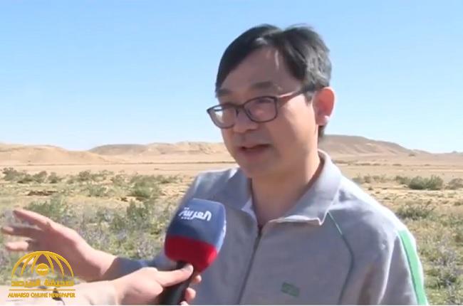 "يجب إجراء دعاية لهذا المكان!".. شاهد: عالم صيني يكشف سبب زيارته الأسبوعية لوادي تميرية على مدار 20 عامًا
