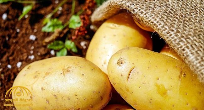 روسيا توقف استيراد البطاطس المصرية بعد اكتشاف بكتيريا خطيرة