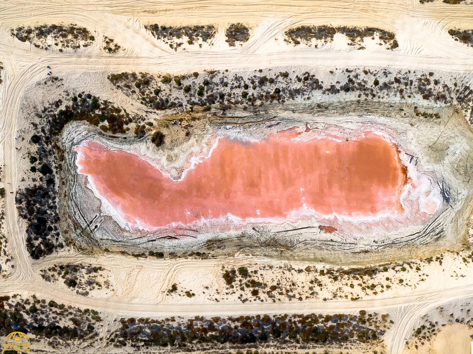بالصور .. سر لون البحيرة الوردية بالإمارات
