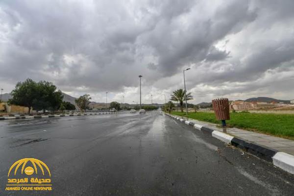 "الأرصاد" تكشف عن توقعات حالة الطقس اليوم الأحد: هطول أمطار رعدية مصحوبة برياح نشطة وزخات برد على هذه المناطق!