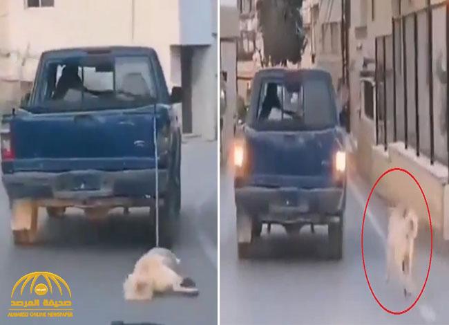 شاهد: فيديو صادم لسائق يسحل كلبًا على الأسفلت