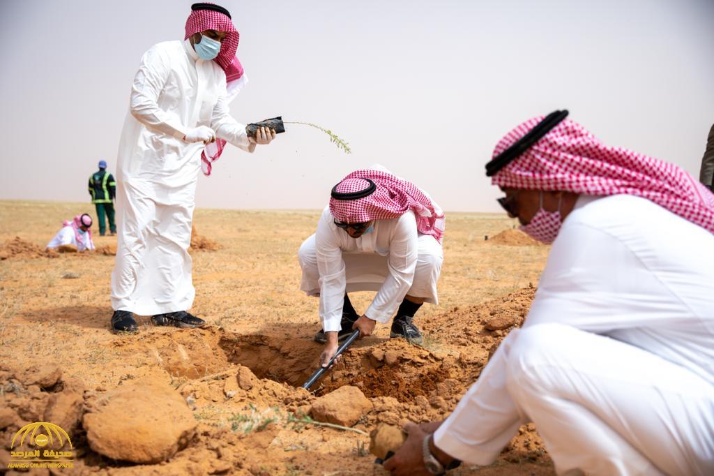 بالصور: تعرف على تفاصيل المرحلة الأولى من حملة تشجير محمية الملك عبدالعزيز الملكية
