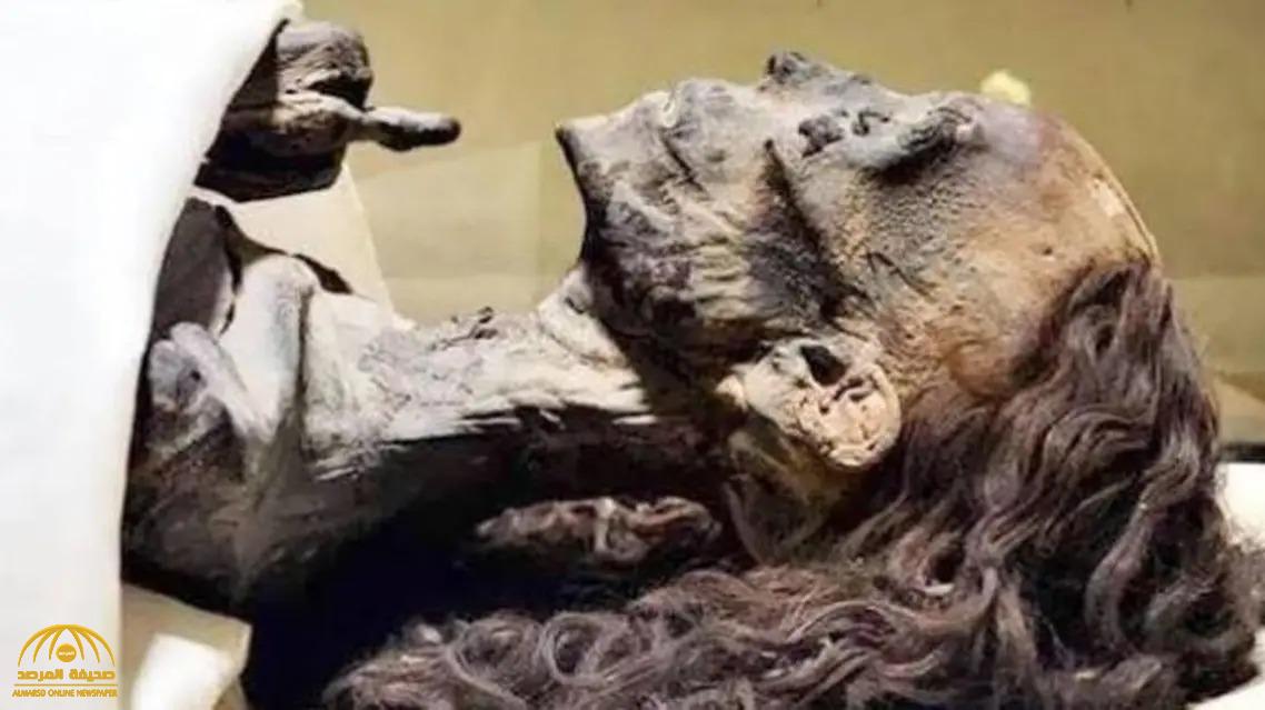 بعد 3 آلاف سنة.. الكشف عن سر الوصفة التي حافظت على نضارة شعر "الملكة تي"