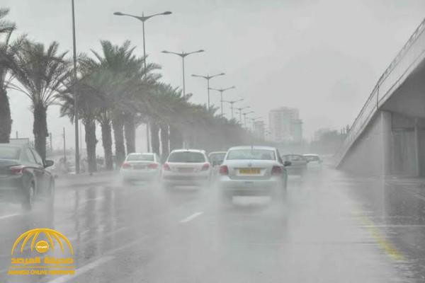 "الأرصاد" تكشف عن توقعات حالة الطقس اليوم الثلاثاء: أمطار رعدية ورياح مثيرة للأتربة على هذه المناطق!