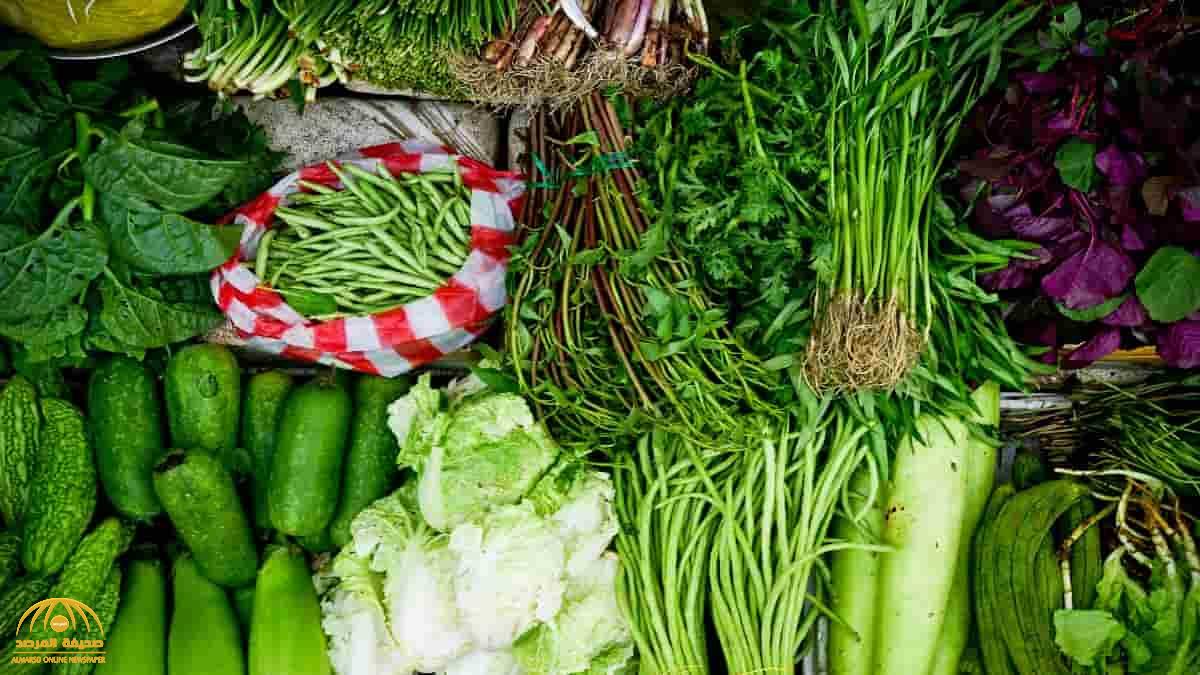 ما هي الخضروات الورقية الأكثر فائدة للجسم؟.. "خبير تغذية" يجيب