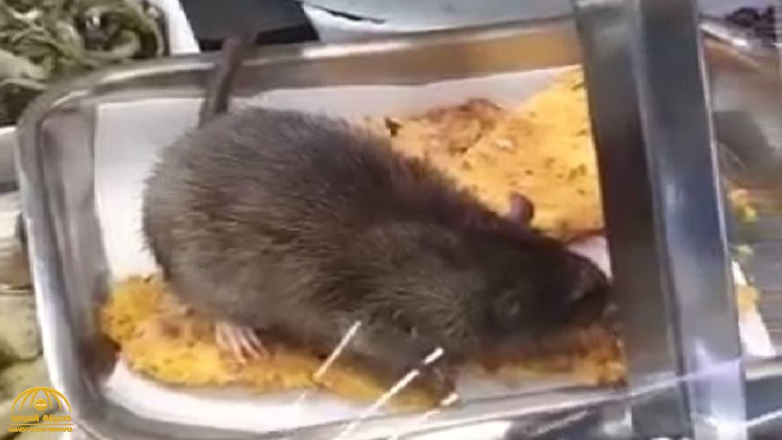 شاهد .. مقطع فيديو لـ"فأر" ضخم يأكل من طعام بسوبر ماركت يجتاح وسائل التواصل الاجتماعي!