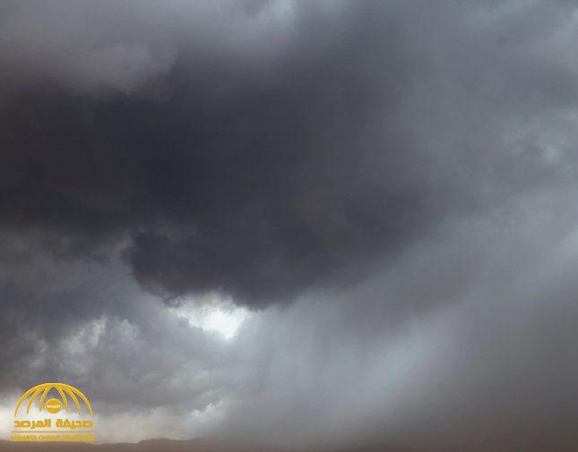 "الأرصاد" تكشف توقعات حالة الطقس اليوم: أمطار رعدية ورياح نشطة على هذه المناطق
