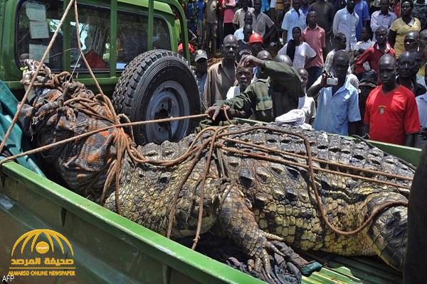 بعد 14 عاما من الرعب.. شاهد : أهالي قرية يصطادون ""أسامة الخطير" قاتل العشرات في أوغندا