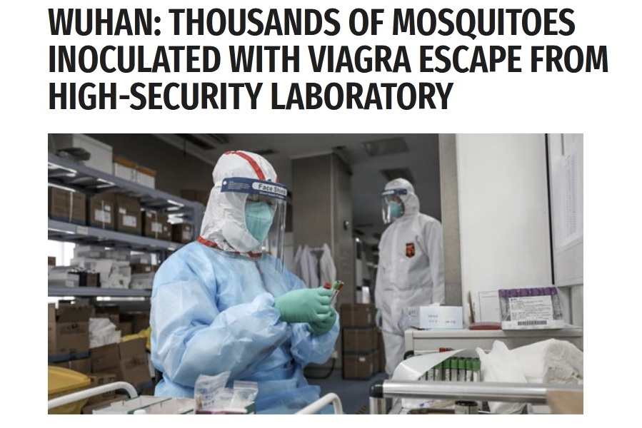 هروب آلاف من البعوض الملقح بالفياجرا من مختبر ووهان الصيني
