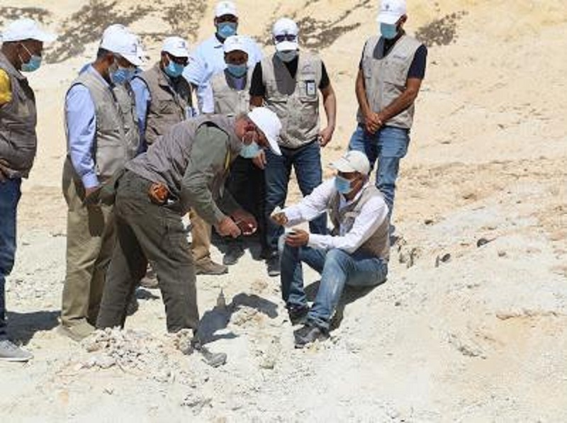 يُعد الأول من نوعه.. شاهد: اكتشاف بقايا حوت  منقرض منذ 37 مليون سنة شمال السعودية