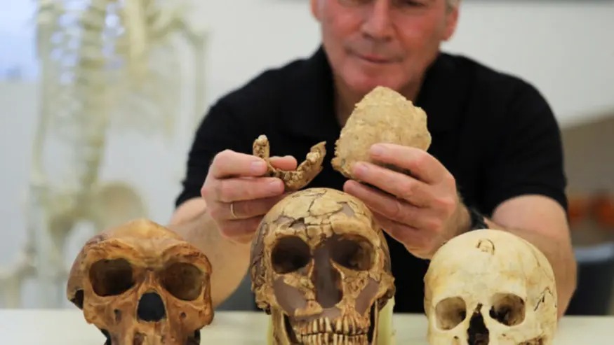شاهد.. علماء آثار إسرائيليون يكتشفون بقايا بشرية لأناس عاشوا قبل 140ألف سنة