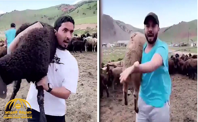 شاهد: ردة فعل سياح سعوديين في "قيرغيستان" بعدما تفاجأوا بثمن الخروف 100 ريال