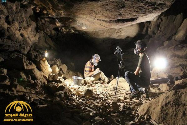 عمره 7000 سنة.. شاهد: اكتشاف أثري جديد في كهف أم جرسان بالمدينة