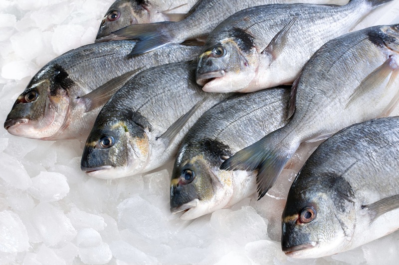 نصائح هامة عند شراء "السمك".. 5 علامات تكشف أنه طازج وغير فاسد