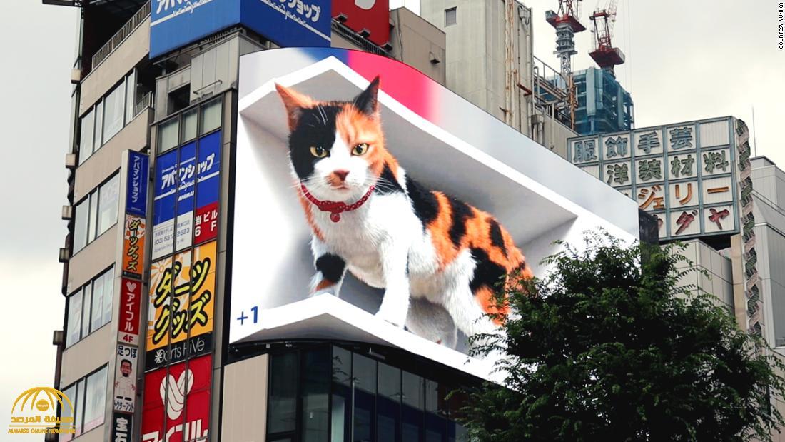 شاهد.. ذهول المارة في طوكيو أمام قطة عملاقة عرضها 18 متراً !