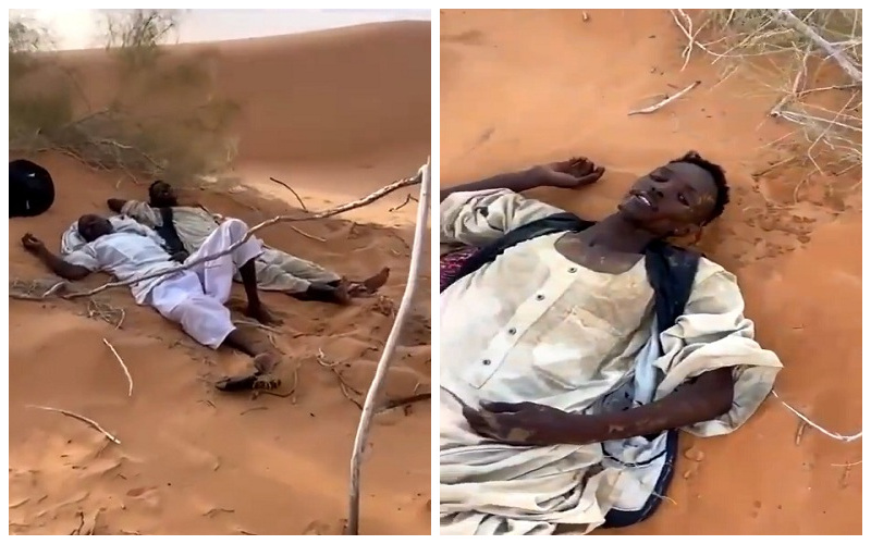 "وجدوهم بين الحياة والموت"..  شاهد: لحظة العثور على الوافدين السودانيين المفقودين في صحراء حائل