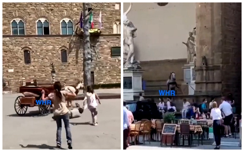 شاهد.. حصان هائج يحطم عربته ويدهس السياح في إيطاليا