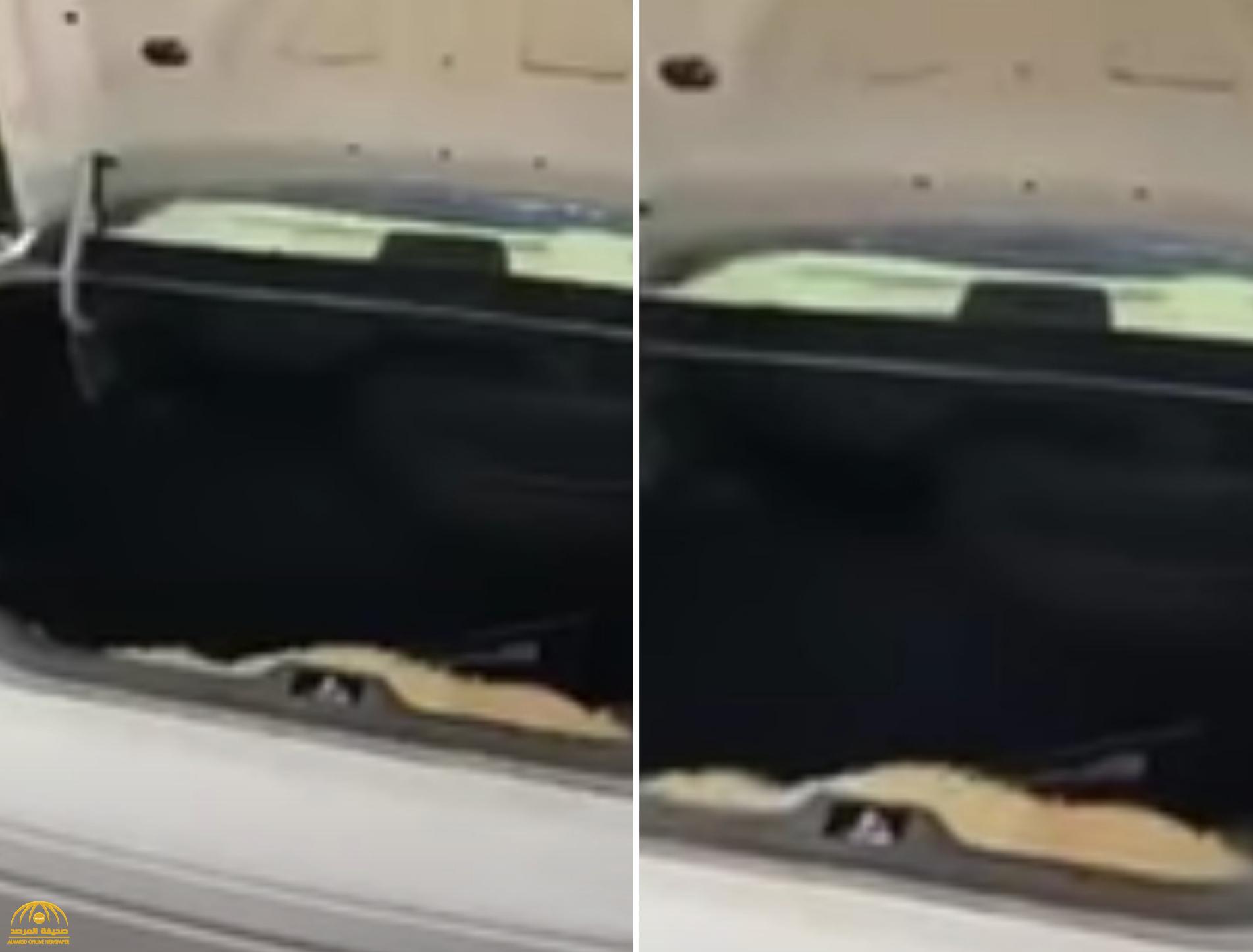 شاهد: كويتي ينقل خروف الأضحية بالسيارة.. وعند فتح  الصندوق الخلفي  كانت المفاجأة