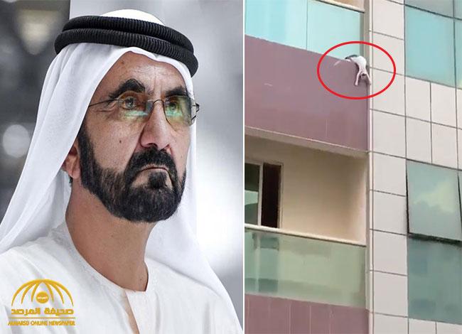 شاهد.. فيديو إنقاذ "قطة" في دبي يُثير إعجاب الشيخ محمد بن راشد: "من يعرفهم يدلنا عليهم"
