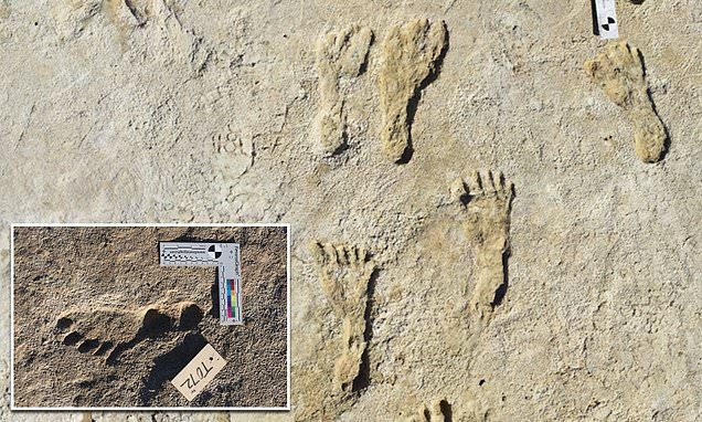 العثور على آثار أقدام بشرية في أمريكا يعود تاريخها قبل 23 ألف عام.. فيديو وصور