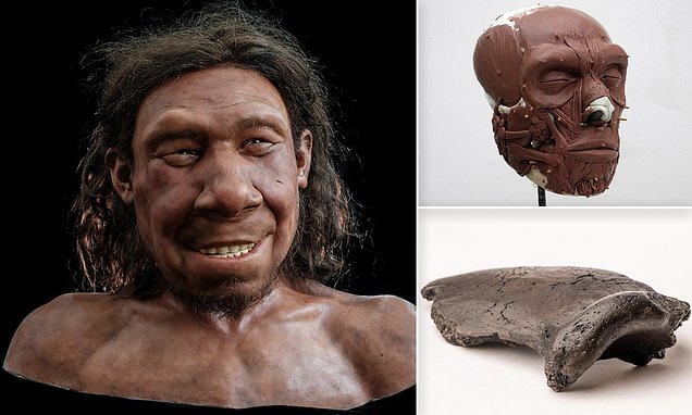 علماء ينجحون في إعادة بناء وجه إنسان بدائي عاش ومات قبل 70 ألف سنة.. صور
