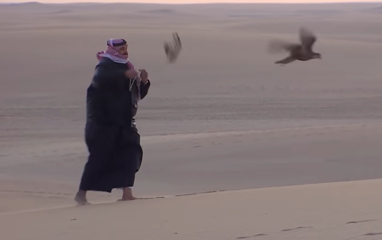 شاهد: الأمير ناصر بن نواف يدرب "العقاب" في الصحراء.. ويكشف عن الشخص الذي أهداه الطير