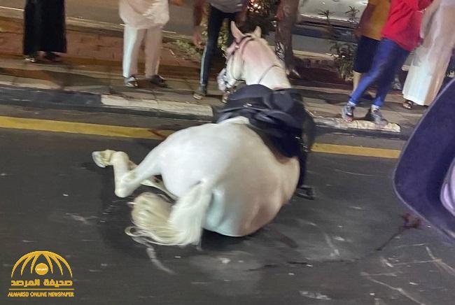 شاهد: حادث غريب في الطائف بين مركبة "تويوتا" و"حصان" يعطل السير!