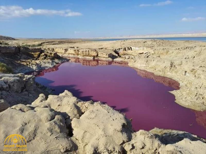 شاهد: خبير أردني يفسر ظاهرة المياه الحمراء في منطقة البحر الميت