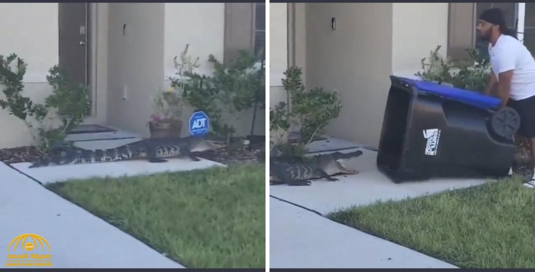 شاهد.. أمريكي يستخدم "حيلة ذكية" للسيطرة على تمساح ضخم اقتحم حديقة منزله