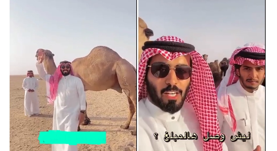 شاهد: عبدالرحمن المطيري يستعرض أشهر الفحول في الجزيرة العربية.. ويكشف عن سعره الفلكي!