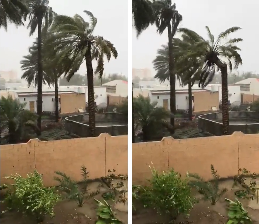 شاهد .. إعصار شاهين يتسبب في سقوط النخيل بولاية بركاء في عمان من شدة الرياح