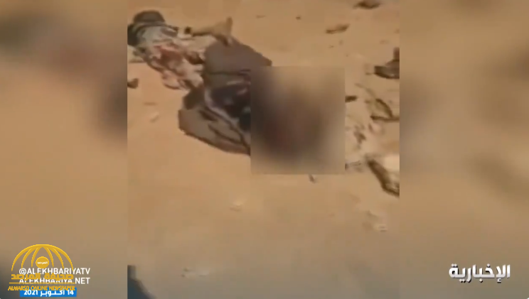 صحراء مأرب تتحول إلى مقبرة لميليشيا الحوثي.. شاهد: عشرات الجثث ملقاة على الأرض بعد مصرعها