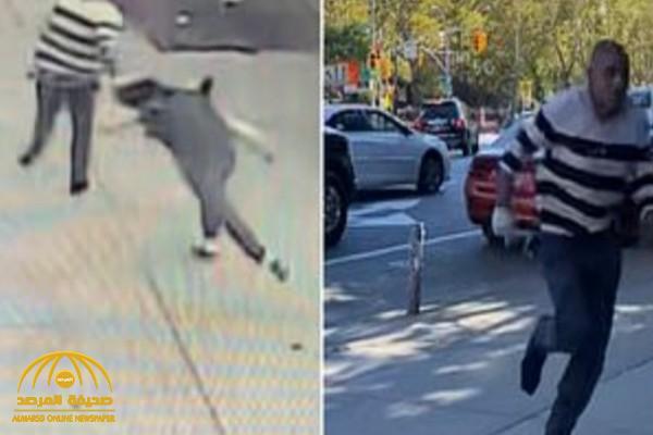 ركض خلفها وشد شعرها بقوة.. شاهد: شخص يعتدي على امرأة وسط شارع في نيويورك ويلوذ بالفرار