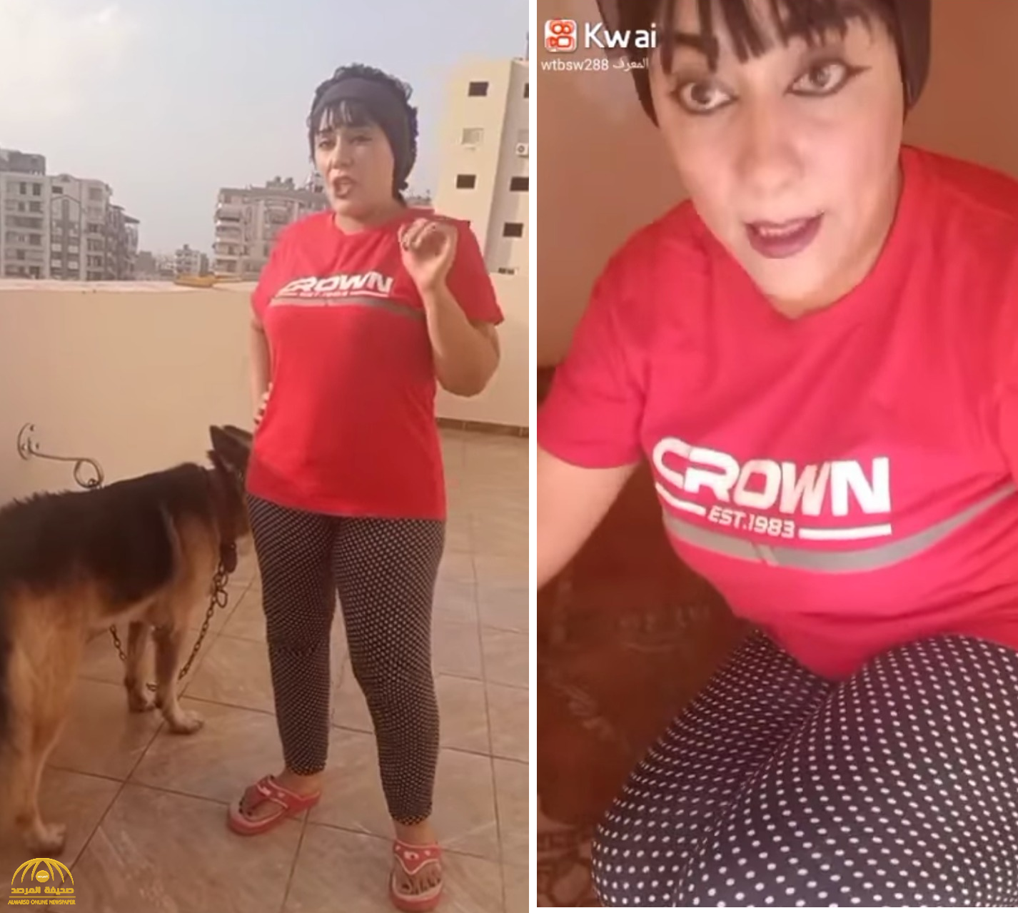 مصر: محام  يقدم بلاغا ضد سيدة نشرت فيديو  تضع  لكلبها سجادة صلاة لينام عليها