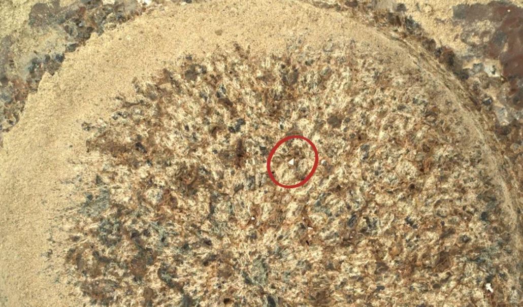 بالصور.. مسبار وكالة ناسا يلتقط مشهد من على كوكب المريخ "لم يره أحد من قبل"!