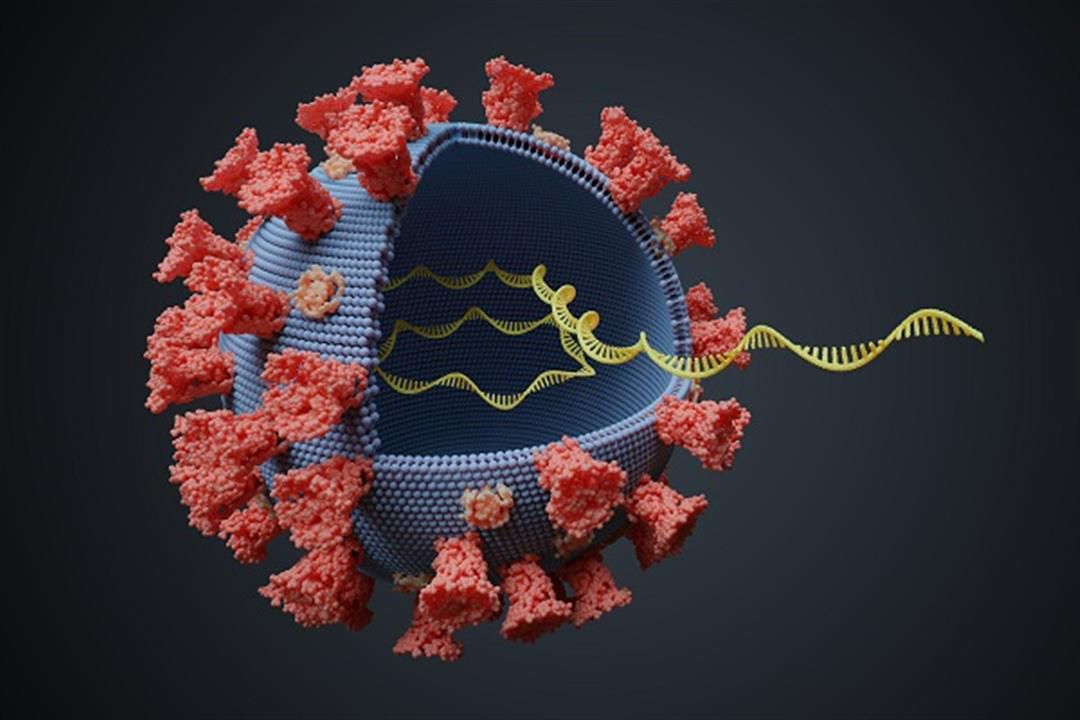 الأخطر حتى الآن .. ما هو متحور فيروس كورونا الجديد "بتسوانا" الذي أثار فزع العلماء؟