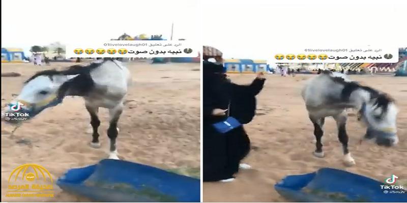 شاهد: فتاة حاولت مداعبة حصان أثناء تناوله العلف.. وعند اقترابها منه كانت المفاجأة!