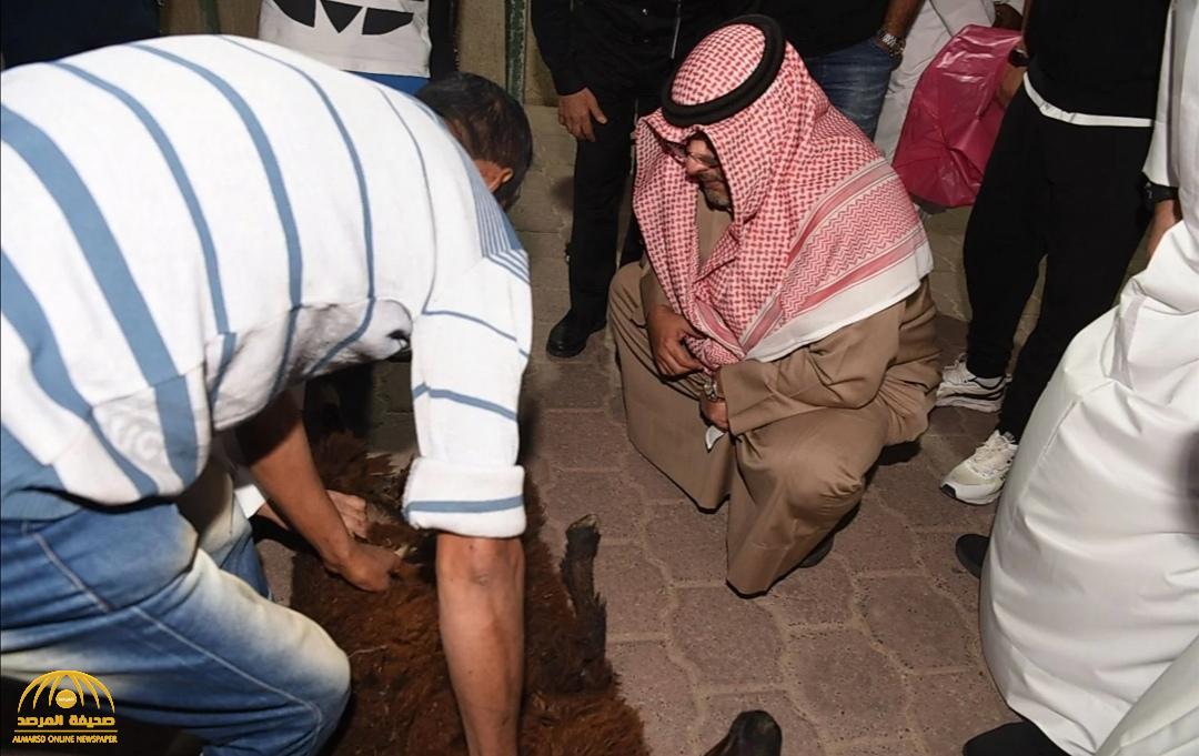 بحضور وزير الداخلية.. شاهد:  إحباط شحنة مخدرات مهربة من دولة مجاورة بطريقة لا تخطر على بال في الكويت