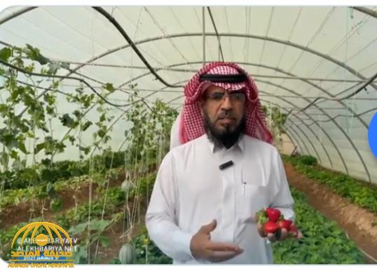 شاهد.. مواطن يكشف كيف تمكن من زراعة "الفراولة" في منطقة صحراوية