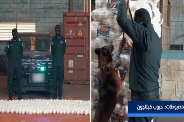 شاهد: لحظة إحباط محاولتي تهريب أكثر من 8 ملايين حبة كبتاجون في ميناء جدة باستخدام "الكلاب البوليسية"